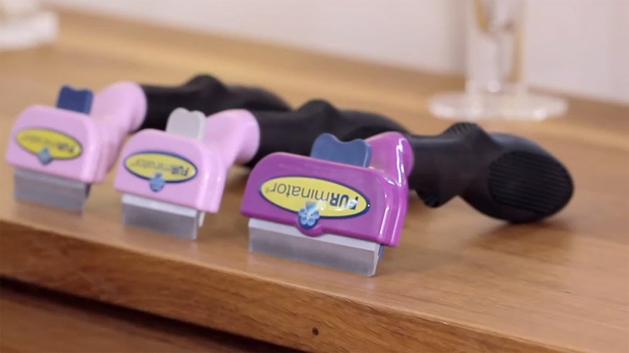 Furminator für eine Katze