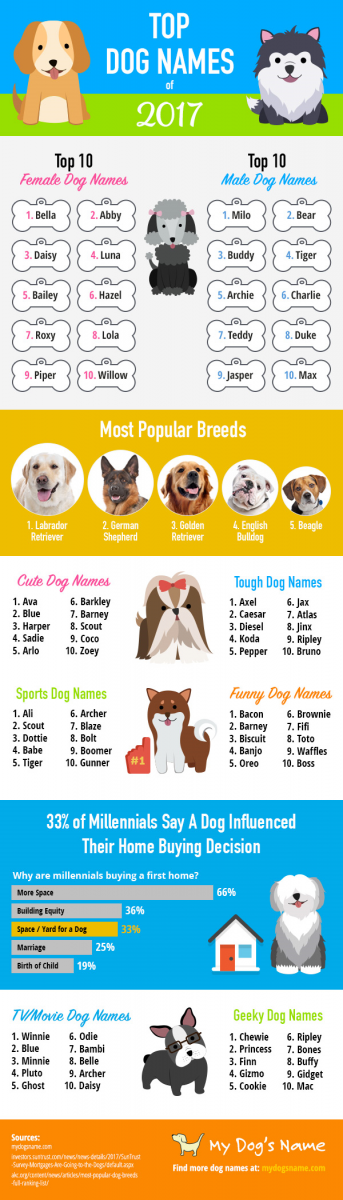 Amerikanische Spitznamen für Hunde