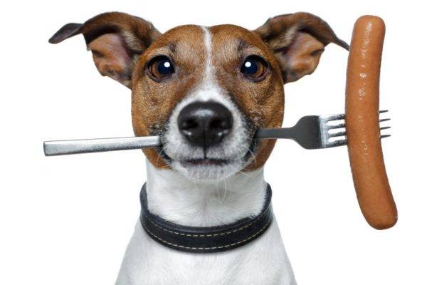 Wurst für Hunde