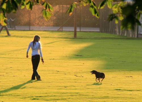 So gehen Sie regelmäßig mit Ihrem Hund spazieren