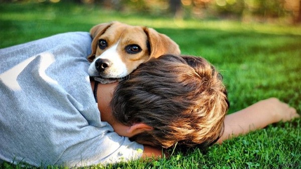Der Hund auf dem Besitzer ruht sich aus