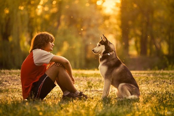 Wie man ein Führer für einen Hund wird, lesen Sie den Artikel