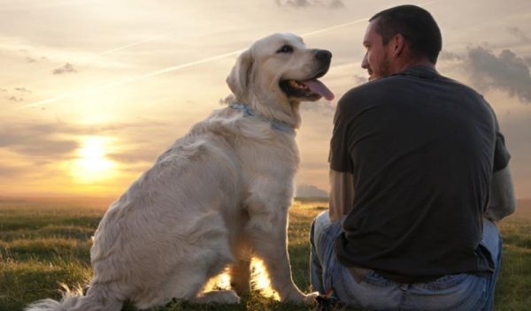 Hund und Mensch