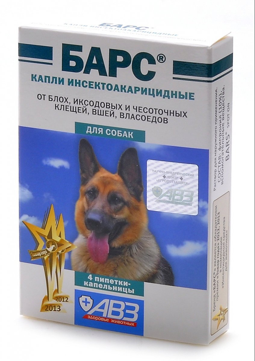 Wie bringt man Flöhe bei Hunden? bedeutet