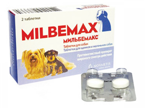Milbemax und Praziquantel für Katzen und Hunde