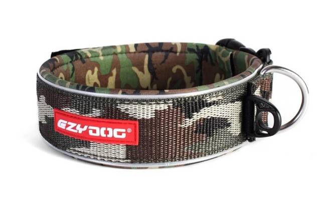 Hundeschutzhalsband