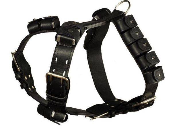 Brustband für Hunde