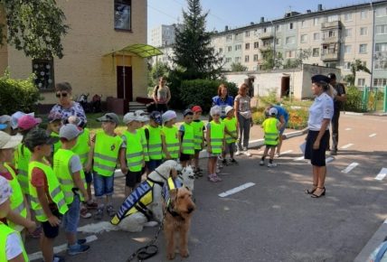Hund im Kindergarten