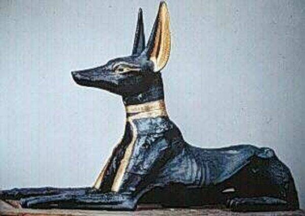 Hund und Religion