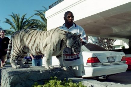Mike Tyson mit dem Tiger