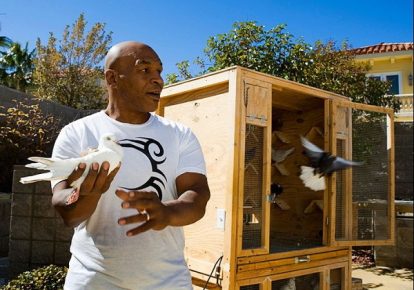 Mike Tyson mit Tauben