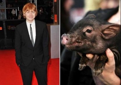 Rupert
