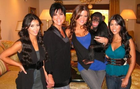 Die Familie der Kardashianer und Schimpansen