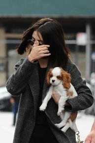 Selena Gomez mit einem Hund