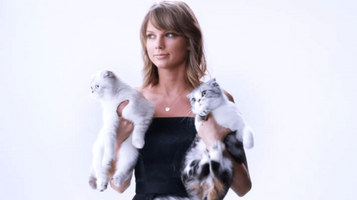 Taylor