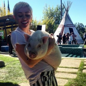 Miley